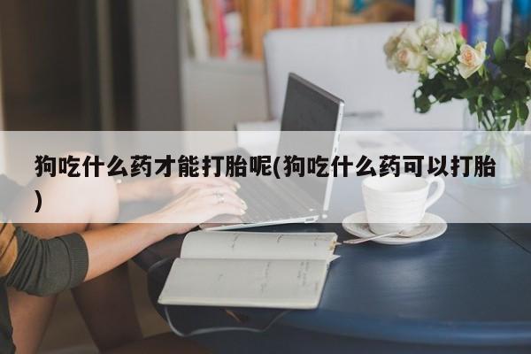 推荐个卖堕胎药的微信狗吃什么药才能打胎呢(狗吃什么药可以打胎)
