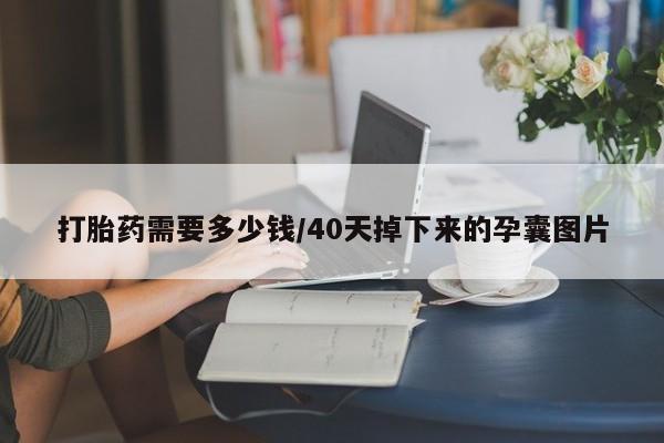 推荐个卖堕胎药的微信打胎药需要多少钱/40天掉下来的孕囊图片