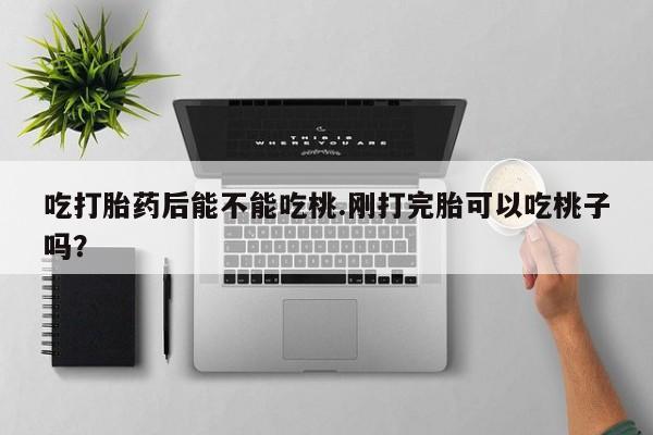 推荐个卖堕胎药的微信吃打胎药后能不能吃桃.刚打完胎可以吃桃子吗？